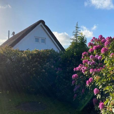 Ferienhaus Butterblume Südbrookmerland المظهر الخارجي الصورة