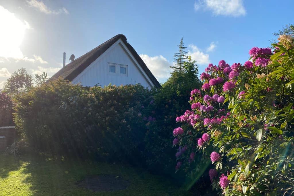 Ferienhaus Butterblume Südbrookmerland المظهر الخارجي الصورة